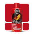 VIGOR 6