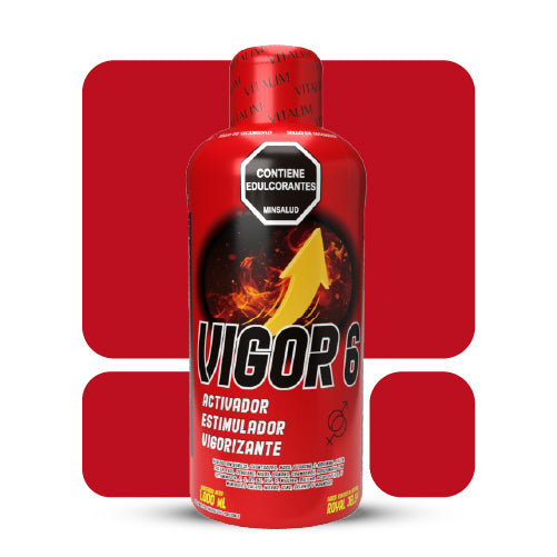 VIGOR 6