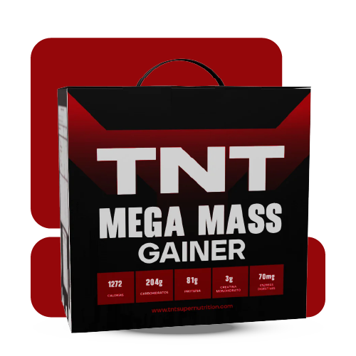 TNT Mega Mass Gainer